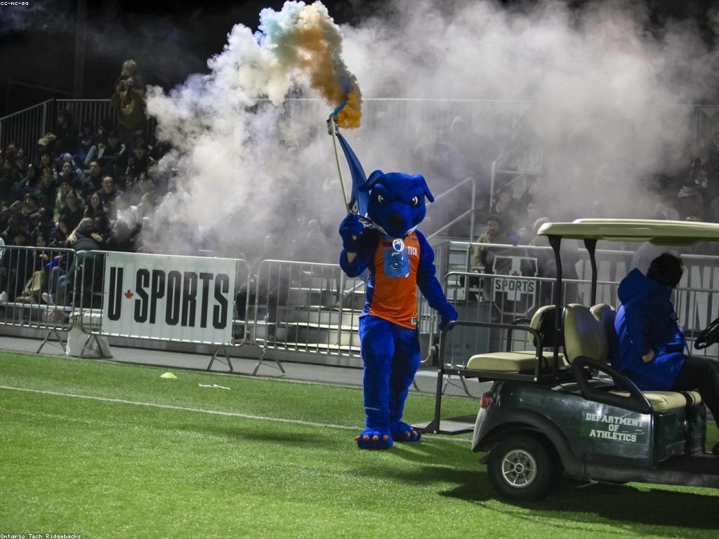 ការប្រកួតជើងឯក: សំខាន់នៃការប្រកួតបាល់ទាត់