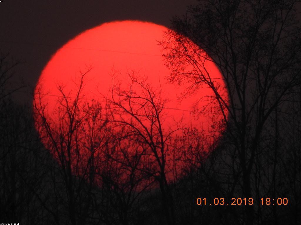 វិធីជាវទំនិញដ៏មានប្រសិទ្ធភាព