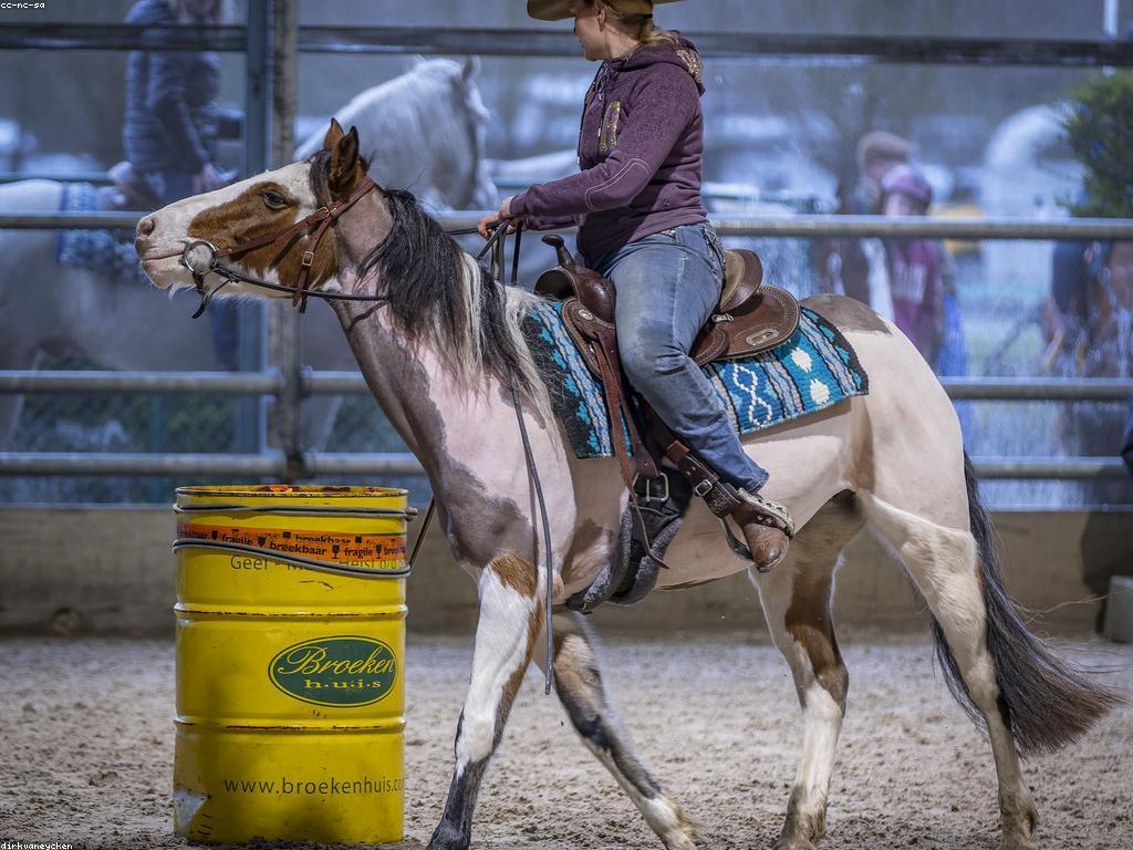 អនាគតនៃការប្រកួតជើងឯក